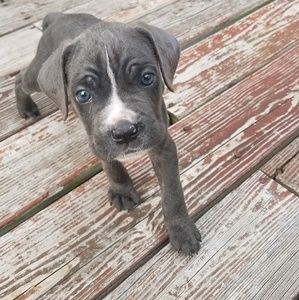 Meet your Posher, Gail